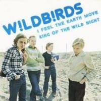 Wildbirds & Peacedrums image on tourvolume.com
