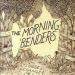 the morning benders image
