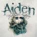 Aiden image