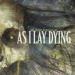 As I Lay Dying image