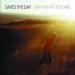 Saves The Day image