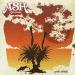 Ash Grunwald image
