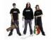 Dirty Heads image