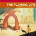 The Flaming Lips image