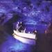 Echo and The Bunnymen image