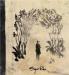 Sigur Ros image
