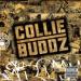 Collie Buddz image