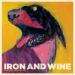 Iron and Wine image