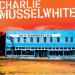 Charlie Musselwhite image