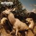 Interpol image
