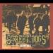 Street Dogs image