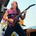 Mark Farner image