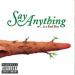 Say Anything image