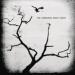 The Airborne Toxic Event image