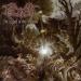 Psycroptic image