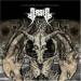 Arsis image