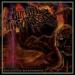 Burning The Masses image