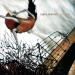 Circa Survive image