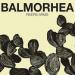 Balmorhea image