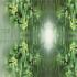 Plants & Animals image