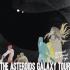 The Asteroids Galaxy Tour image