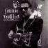 Jimmie Vaughan image