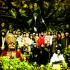 Devendra Banhart image